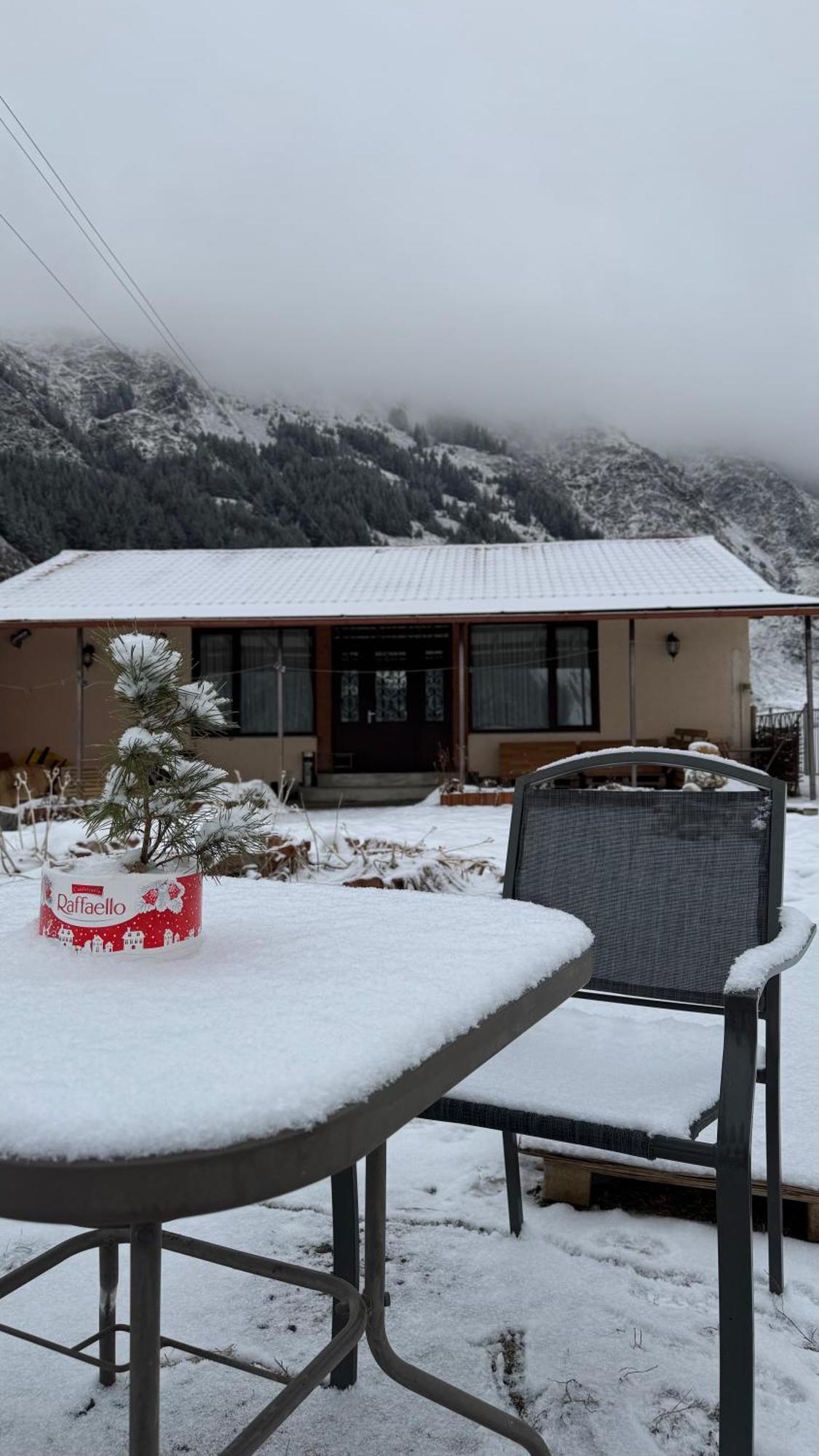 Januka Garden At Sno Stepantsminda Exterior foto